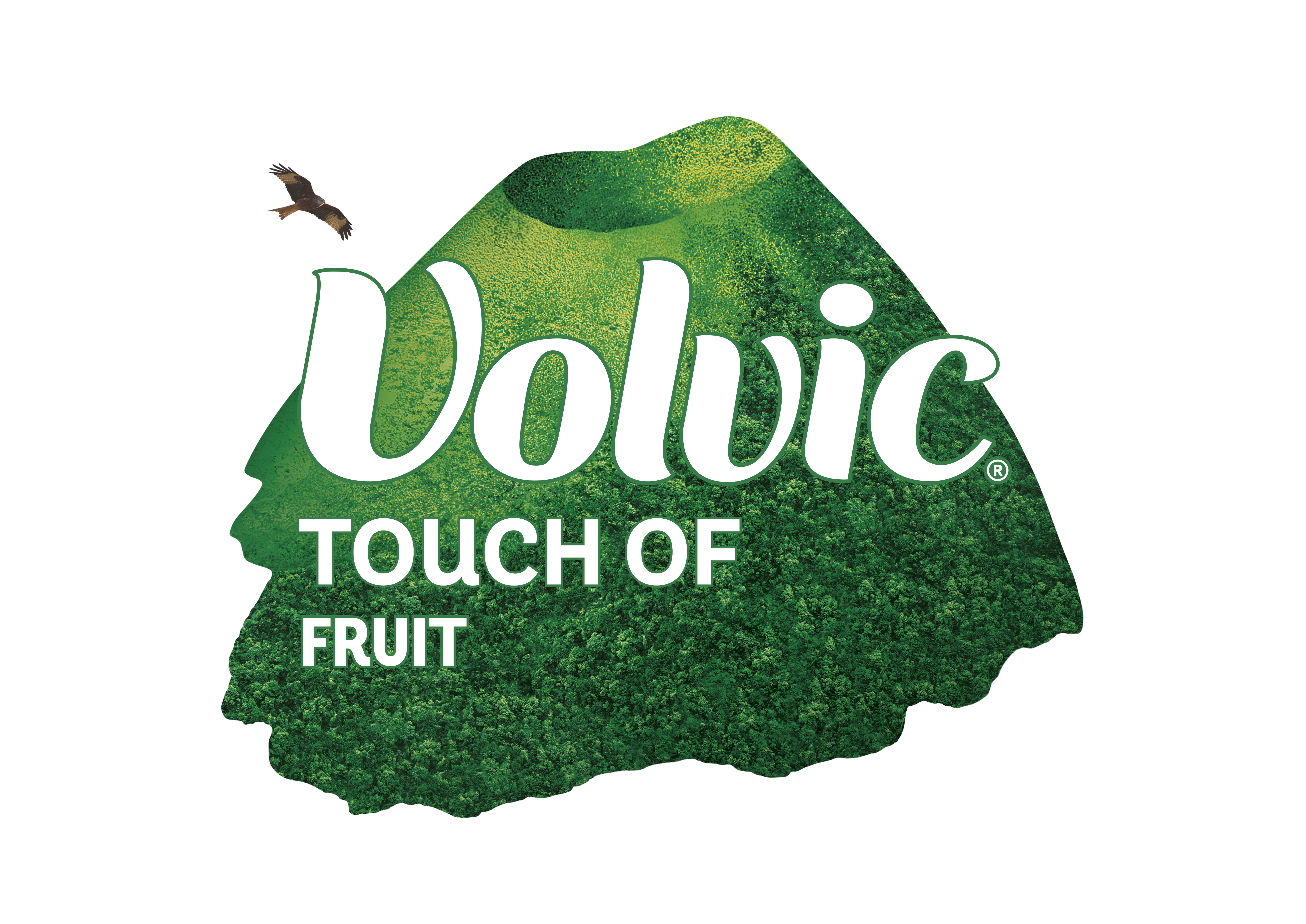 Volvic Logo Touch Of Fruit